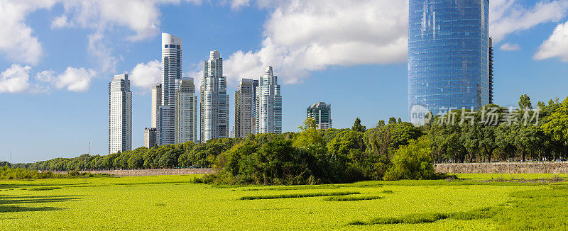 布宜诺斯艾利斯，Puerto Madero，从Reserva观看Ecológica阿根廷